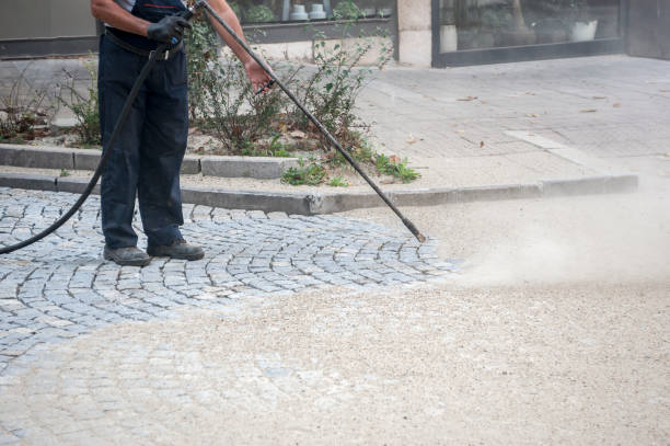 Best Pre-Holiday Cleaning  in Chesnut Hill, PA